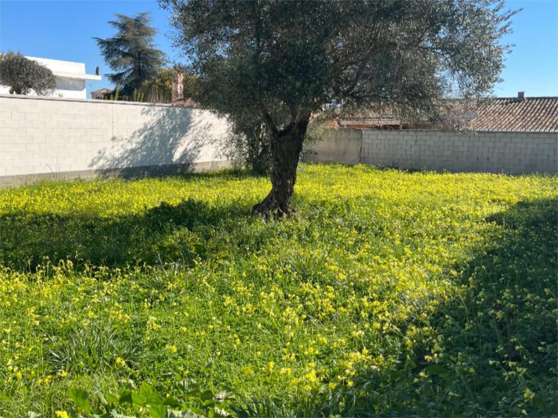 Land for sale in Tomares