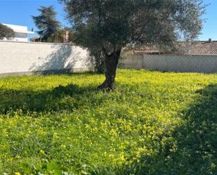 Land for sale in Tomares