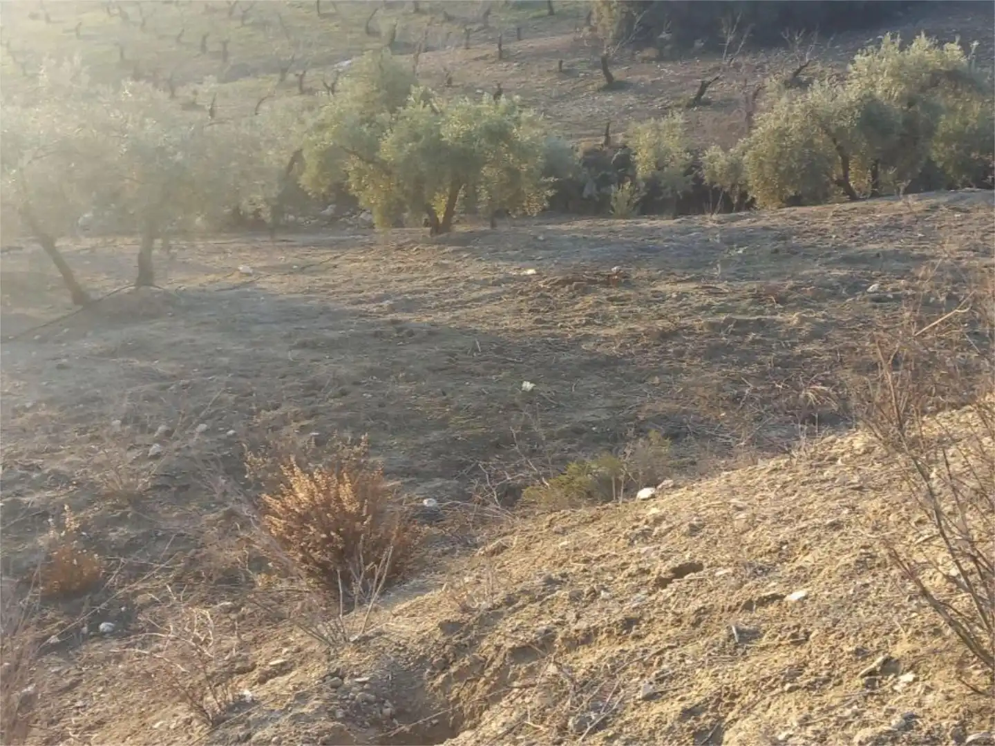 Land for sale in Diseminado Pantano, 39, Arenas del Rey Land for sale in Arenas del Rey