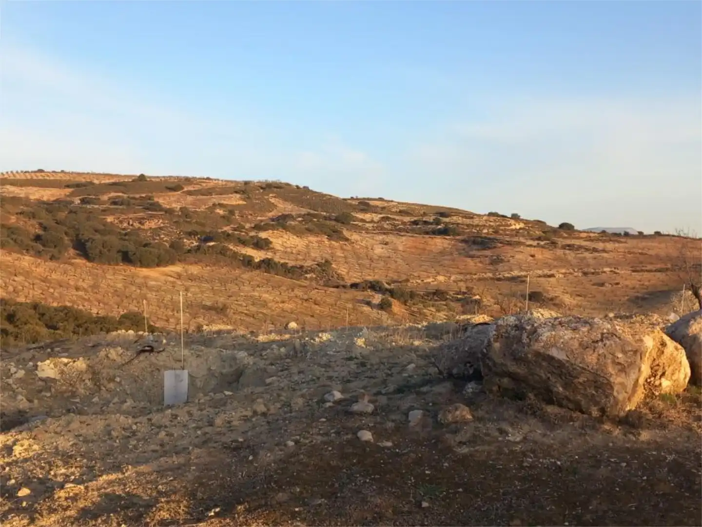 Land for sale in Diseminado Pantano, 39, Arenas del Rey Land for sale in Arenas del Rey