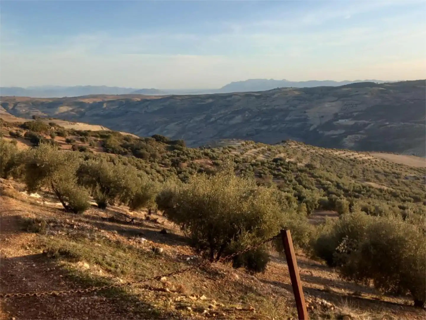 Land for sale in Diseminado Pantano, 39, Arenas del Rey Exterior view of Land for sale in Arenas del Rey