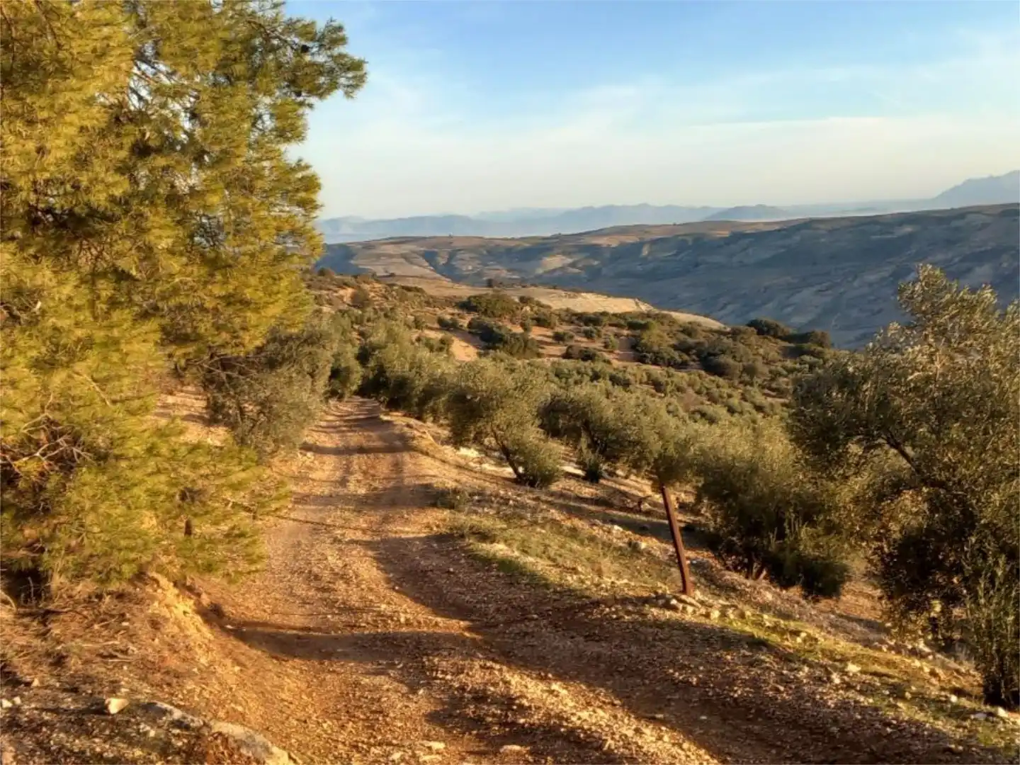 Land for sale in Diseminado Pantano, 39, Arenas del Rey Exterior view of Land for sale in Arenas del Rey