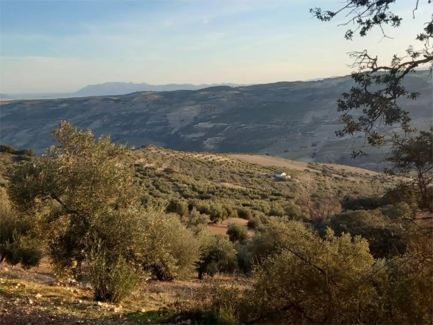Land for sale in Diseminado Pantano, 39, Arenas del Rey Land for sale in Arenas del Rey