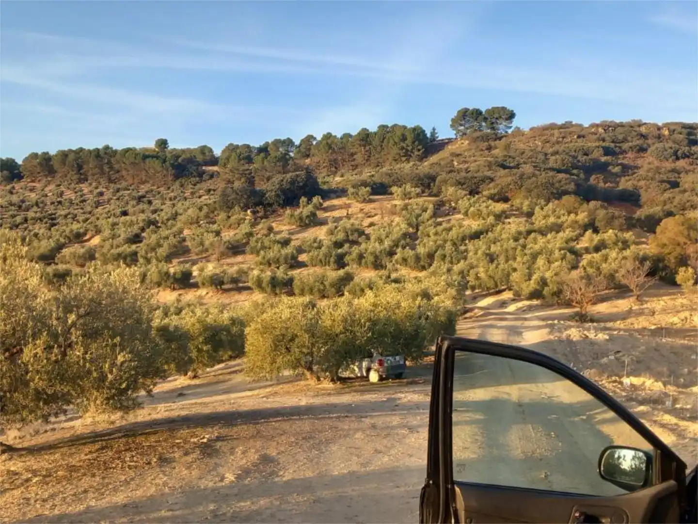 Land for sale in Diseminado Pantano, 39, Arenas del Rey Land for sale in Arenas del Rey