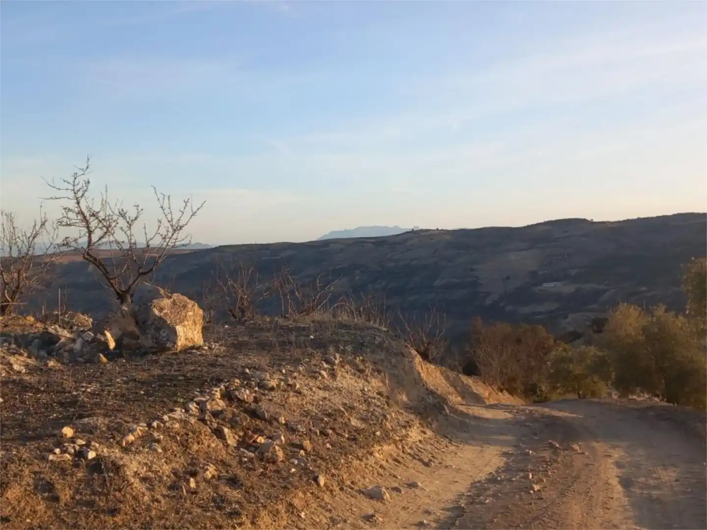Land for sale in Diseminado Pantano, 39, Arenas del Rey Exterior view of Land for sale in Arenas del Rey