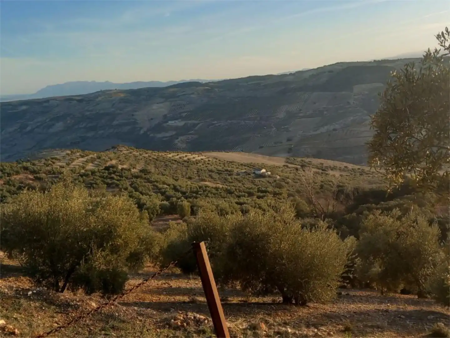 Land for sale in Diseminado Pantano, 39, Arenas del Rey Land for sale in Arenas del Rey