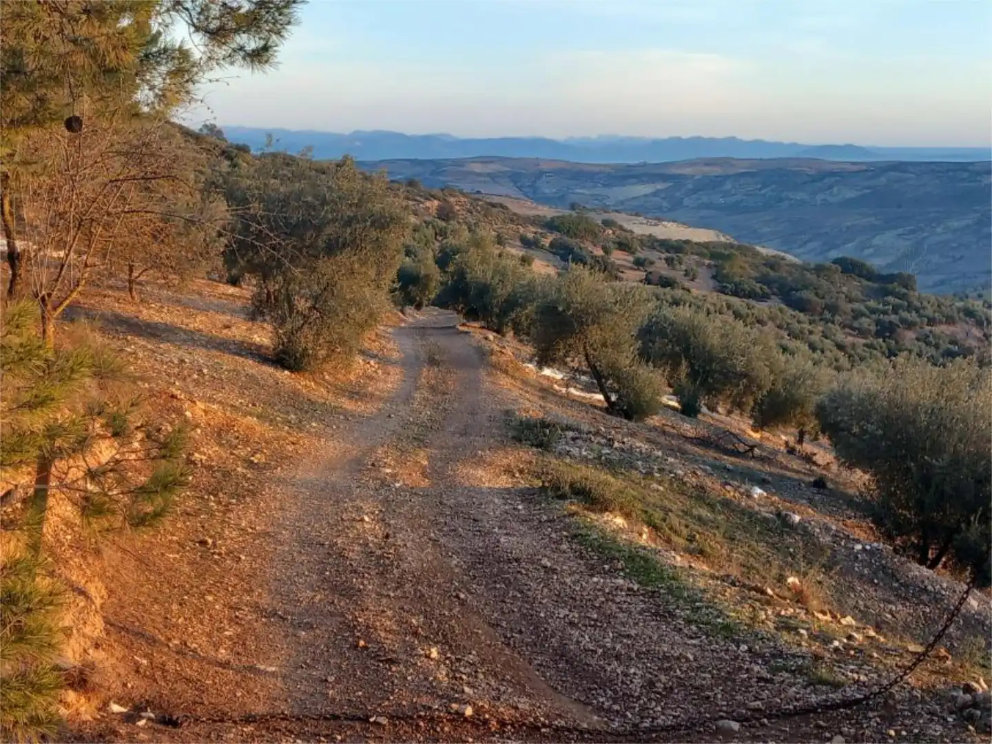 Land for sale in Diseminado Pantano, 39, Arenas del Rey Exterior view of Land for sale in Arenas del Rey