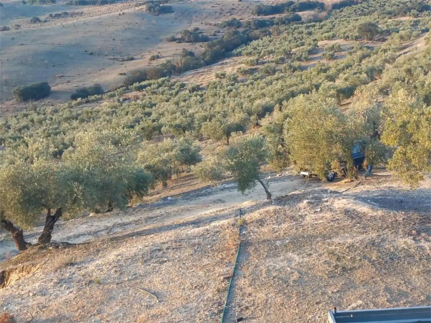 Land for sale in Diseminado Pantano, 39, Arenas del Rey Land for sale in Arenas del Rey