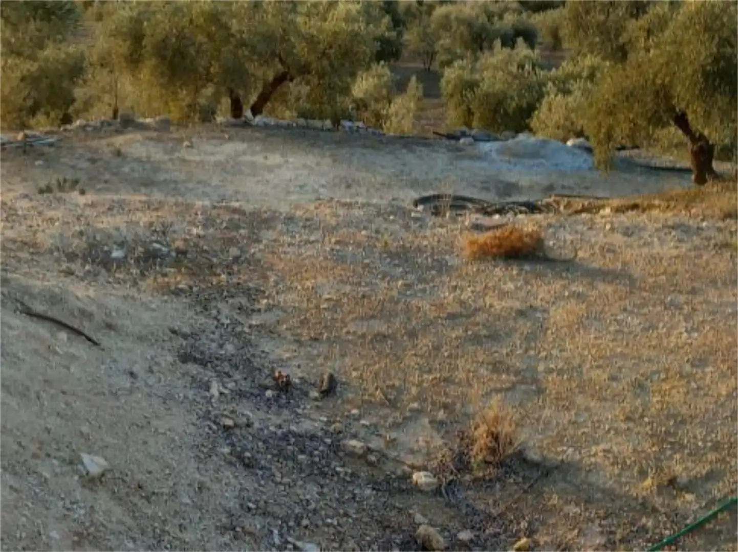 Land for sale in Diseminado Pantano, 39, Arenas del Rey Land for sale in Arenas del Rey