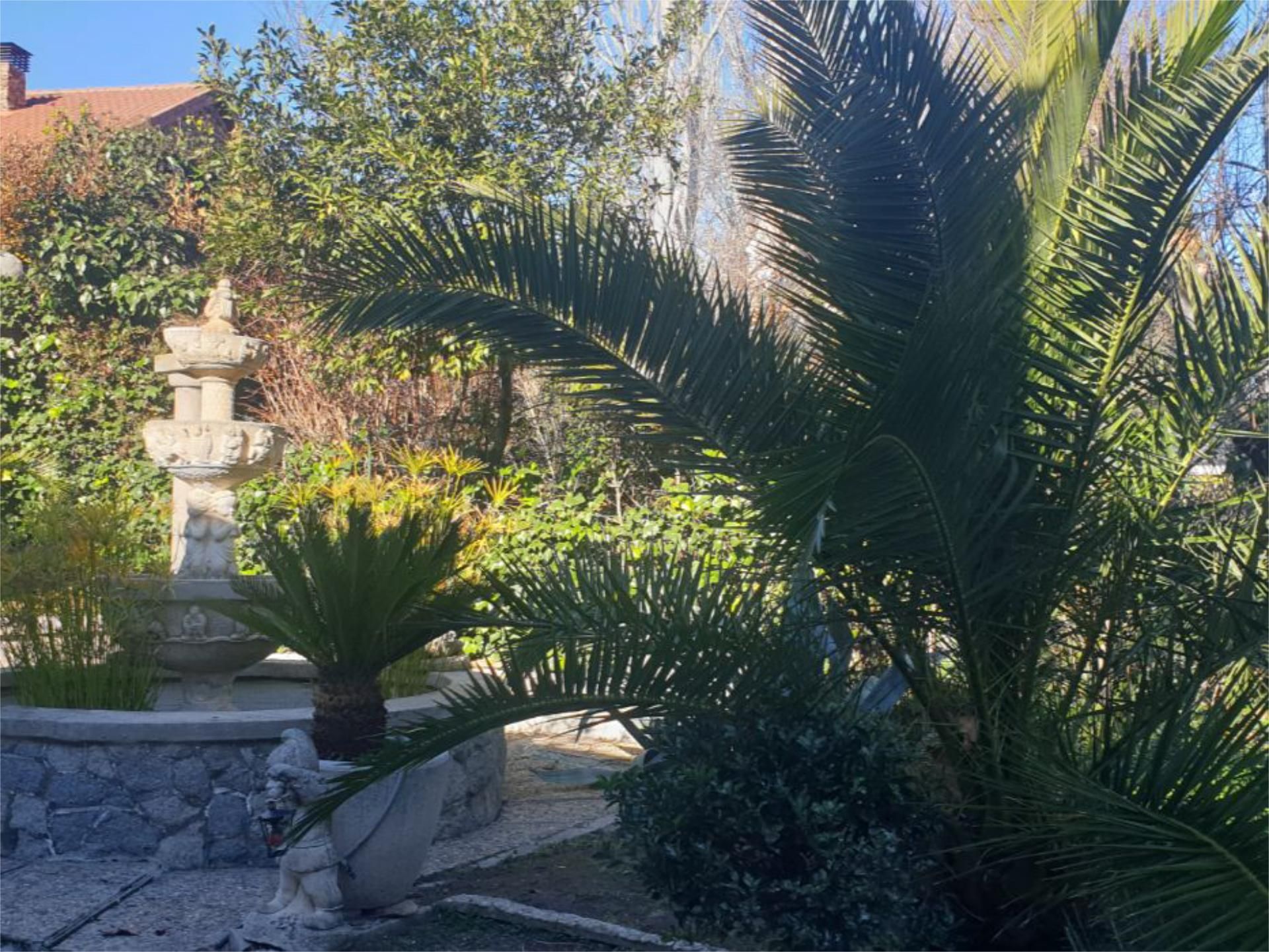 Jardí de Pis en venda en Colmenar Viejo amb Calefacció, Jardí privat i Terrassa