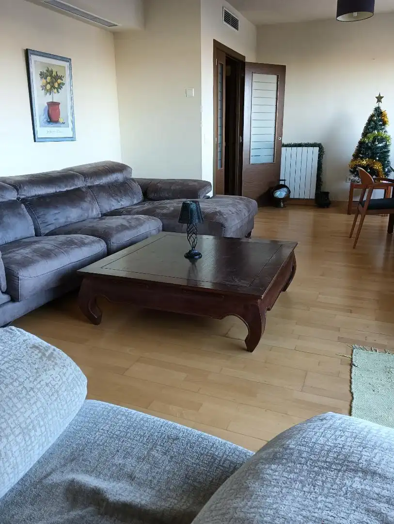 Wohnzimmer von Wohnung zur untervermieten in Valencia mit Parkett, Möbliert und Ofen