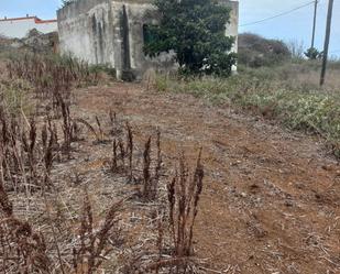 Finca rústica en venda en Santa María de Guía de Gran Canaria