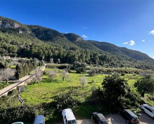 Jardí de Pis en venda en Andratx amb Aire condicionat, Traster i Moblat