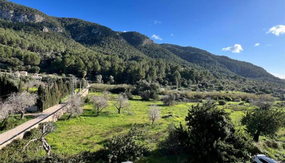 Flat for sale in Path de Son Curt, 2, Andratx pueblo, Illes Balears - image 1 Photo 1 of Flat for sale in Path de Son Curt, 2, Andratx pueblo, Illes Balears