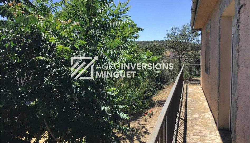 Photo 1 of House or chalet for sale in Camí de Balena, 2, Les Avellanes i Santa Linya, Lleida