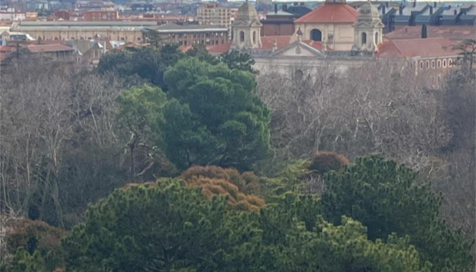 Attic to rent in Paseo de Zorrilla, 8, Campo Grande, Valladolid - image 1 Photo 1 of Attic to rent in Paseo de Zorrilla, 8, Campo Grande, Valladolid
