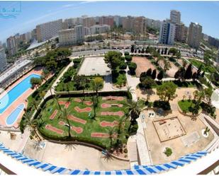 Vista exterior de Estudi en venda en Alicante / Alacant amb Piscina