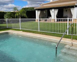 Piscina de Casa o xalet en venda en Villamanrique de la Condesa amb Aire condicionat, Jardí privat i Traster