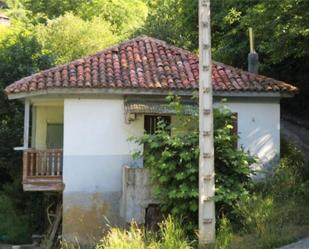 Exterior view of House or chalet for sale in Laviana