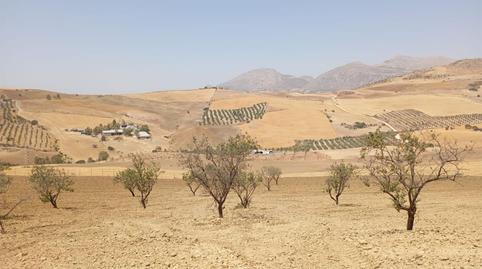 Foto 4 de Finca rústica en venda a Calle Infante Don Fernando, 1, Casco Histórico, Málaga
