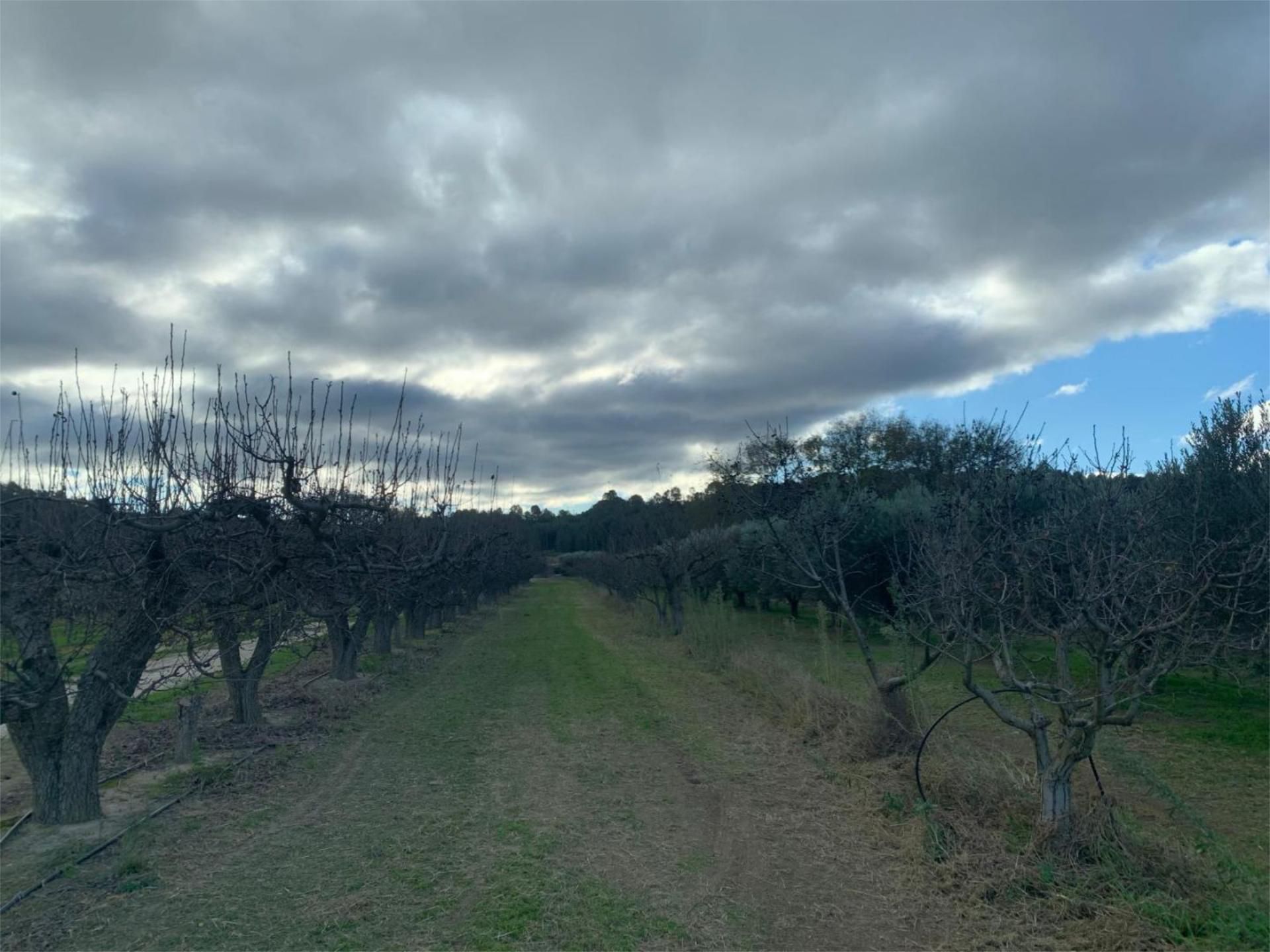 Country house for sale in Ginestar