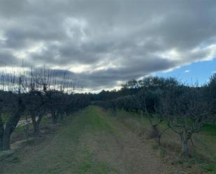 Finca rústica en venda en Ginestar