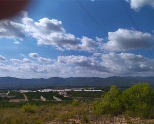 Exterior view of Non-constructible Land for sale in L'Alcúdia de Crespins