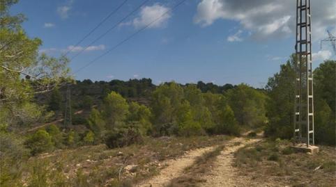 Non-constructible Land for sale in Calle de Canal de Navarrés, 28, L'Alcúdia de Crespins, Valencia - image 3 Photo 3 of Non-constructible Land for sale in Calle de Canal de Navarrés, 28, L'Alcúdia de Crespins, Valencia