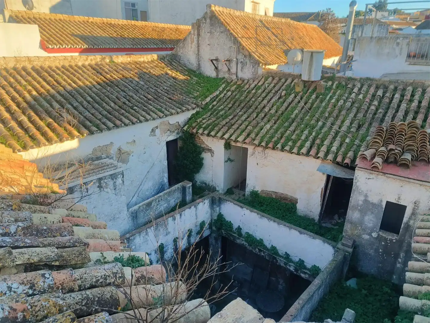 Vista exterior de Casa adosada en venta en Carmona