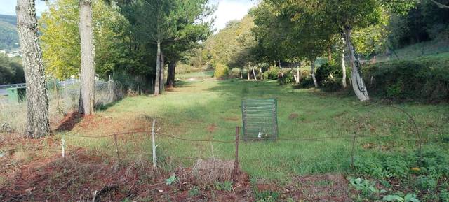 Terreno en Venta en Becerreá