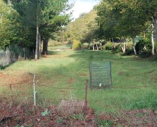 Land for sale in Becerreá