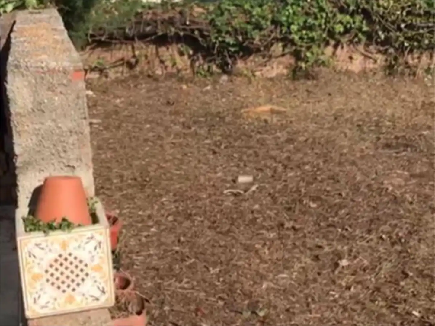 Bebaubares Gelände zum Verkauf in Carrer del Llevant, 56, La Secuita Garten von Bebaubares Gelände zum Verkauf in La Secuita