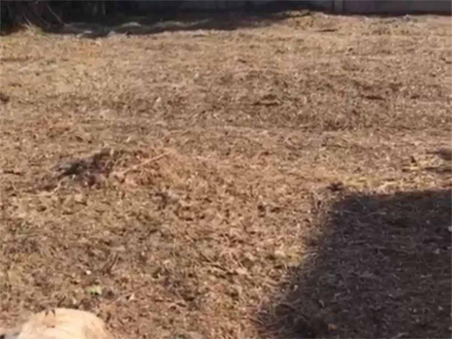 Bebaubares Gelände zum Verkauf in Carrer del Llevant, 56, La Secuita Bebaubares Gelände zum Verkauf in La Secuita