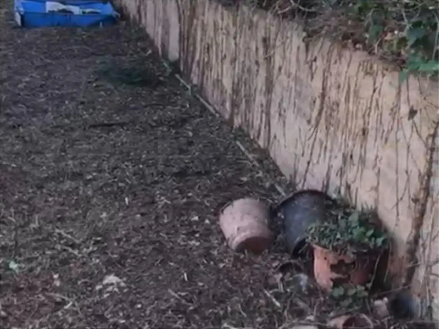 Bebaubares Gelände zum Verkauf in Carrer del Llevant, 56, La Secuita Garten von Bebaubares Gelände zum Verkauf in La Secuita