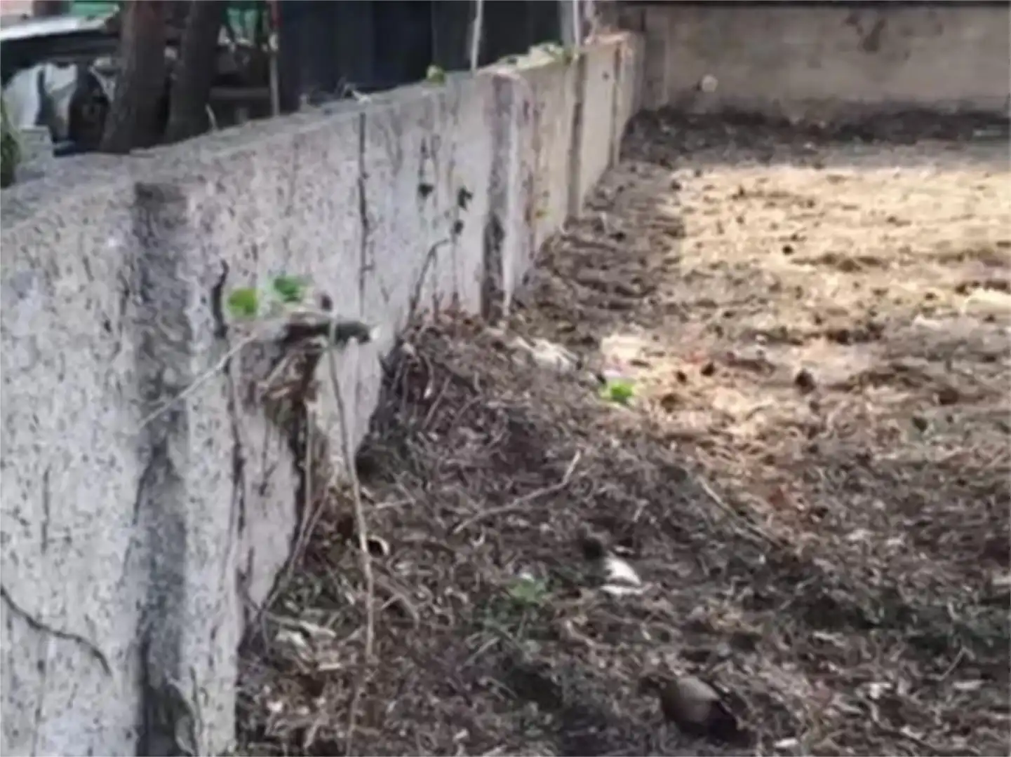 Bebaubares Gelände zum Verkauf in Carrer del Llevant, 56, La Secuita Bebaubares Gelände zum Verkauf in La Secuita