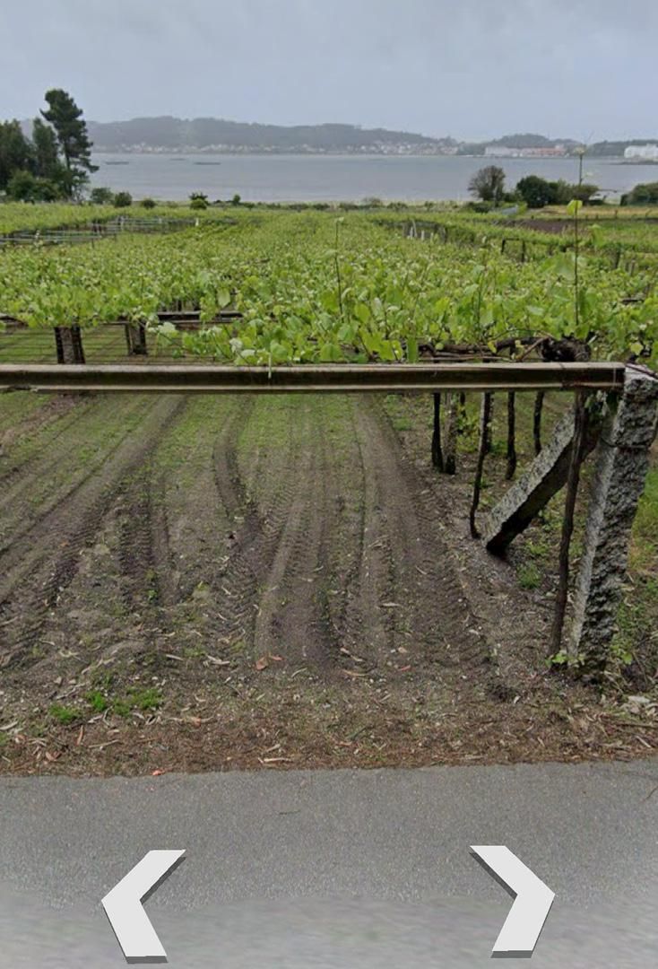 Jardín de No Urbanizable en venta en Cambados