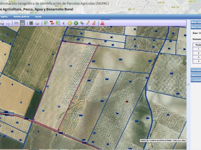 Finca rústica en Venta en Carretera de Santaella, 1 en Montalbán de Córdoba