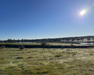 Land for sale in Casar de Cáceres