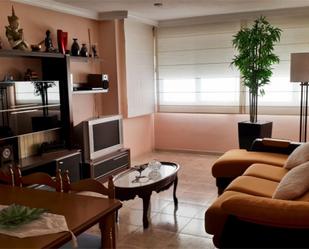 Living room of Flat for sale in Roquetas de Mar  with Air Conditioner, Furnished and Community parking