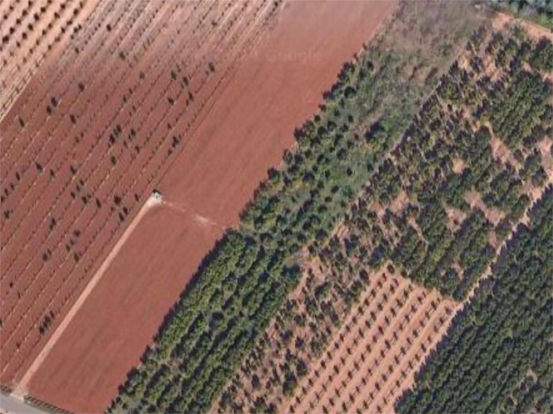 Terreno en venta en Benifairó de les Valls