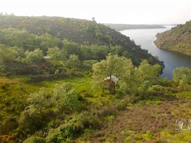 Finca rústica en Venta en Camino de Vaquera, 30 en Villasbuenas de Gata