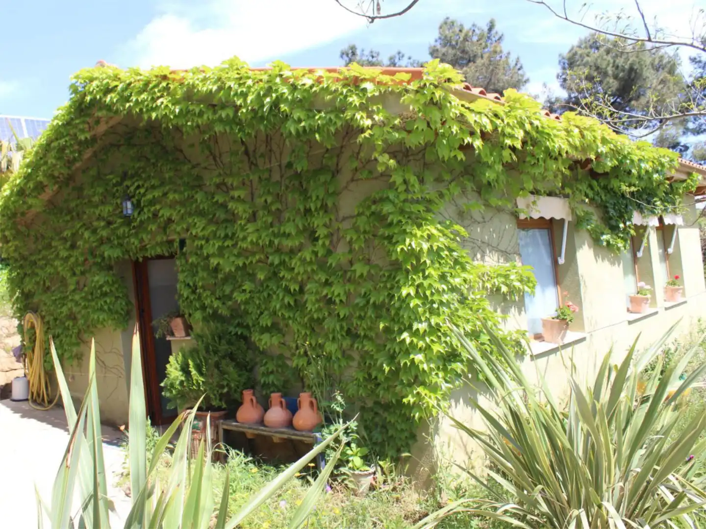 Casa o xalet en venda a Camino de Vaquera, 30, Villasbuenas de Gata Jardí de Casa o xalet en venda en Villasbuenas de Gata amb Aire condicionat, Calefacció i Jardí privat