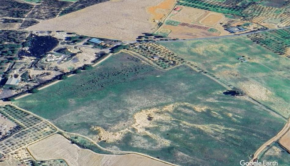 Photo 1 of Non-constructible Land for sale in Plaza España, 1a, Almonte ciudad, Huelva