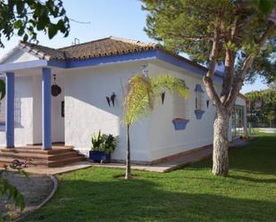 Garden of House or chalet to rent in Barbate  with Private garden, Storage room and Swimming Pool