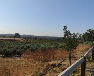 Land for sale in  Huelva Capital