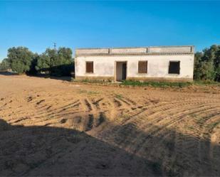 Casa adosada en venda en Utrera amb Jardí privat, Terrassa i Piscina