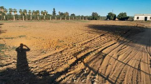 Foto 2 de Casa adosada en venta en Pedanías Norte, Utrera