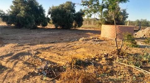 Foto 4 de Casa adosada en venta en Pedanías Norte, Utrera