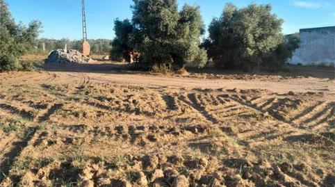 Foto 5 de Casa adosada en venta en Pedanías Norte, Utrera