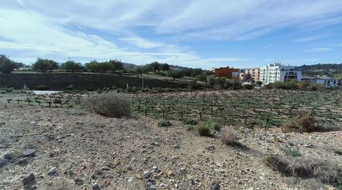 Foto 5 de Terreny en venda a Cv-415, 1, Turís, Valencia